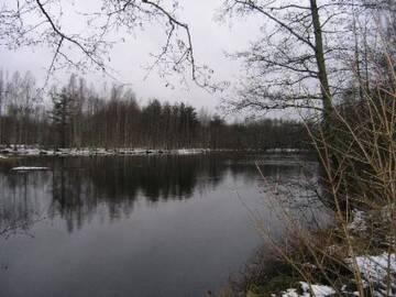 Фото номера Дом для отпуска Дома для отпуска Holiday Home Villa lohi г. Läsäkoski 20