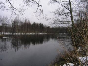 Фото номера Дом для отпуска Дома для отпуска Holiday Home Villa lohi г. Läsäkoski 44